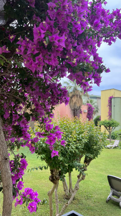 Gartenanlage VONRESORT Golden Beach