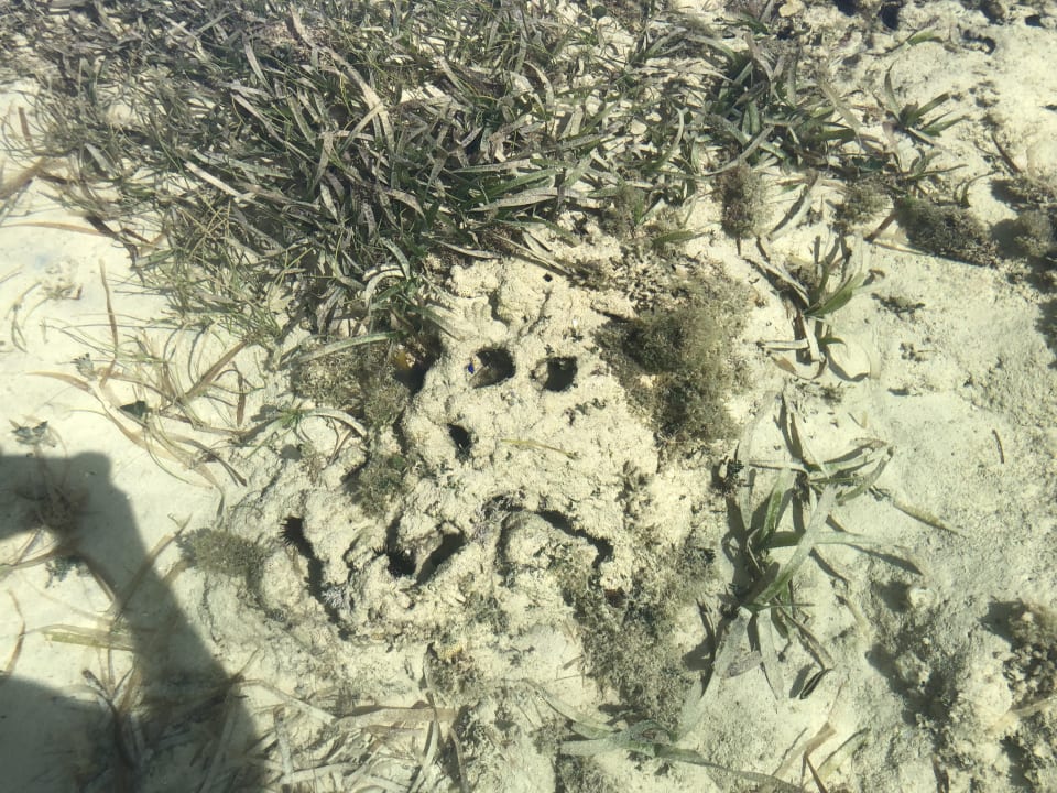 Strand Bahia Principe Grand El Portillo