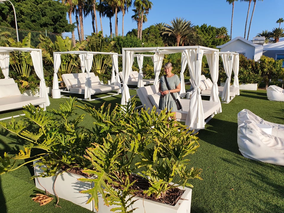 Außenansicht Canary Garden Club