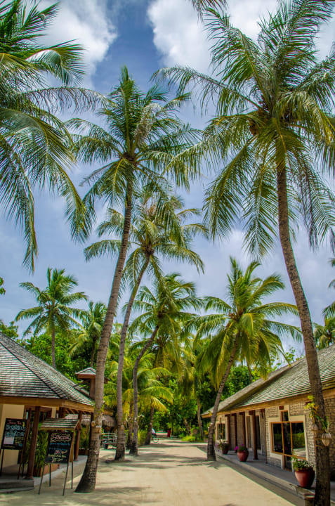 Links die Tauchbasis rechts Geschäfte zum bummeln Kuredu Island Resort & Spa