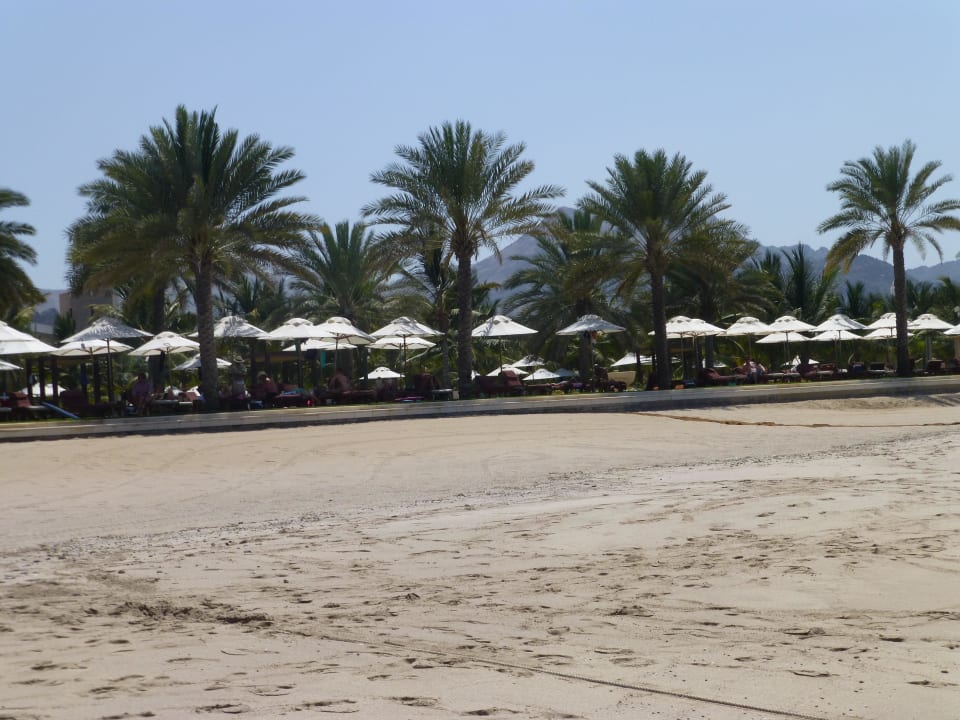 Blick auf die Liegewiese Al Bustan Palace - A Ritz-Carlton Hotel