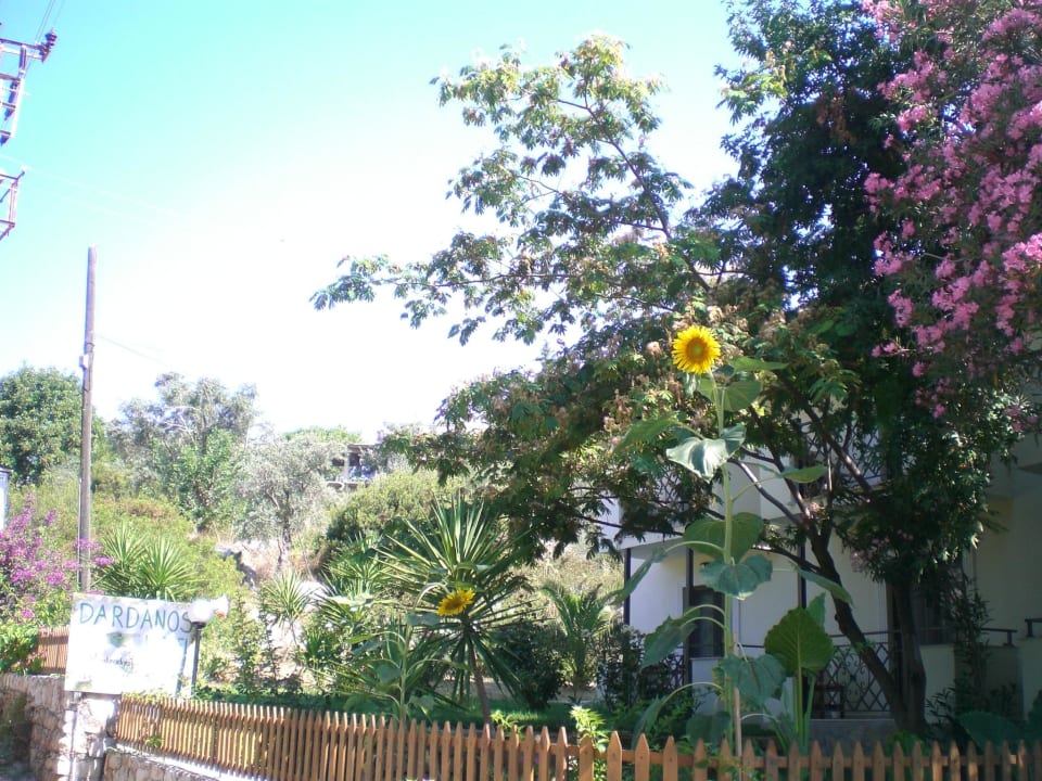 Garten mit schönen Blumen Hotel Dardanos