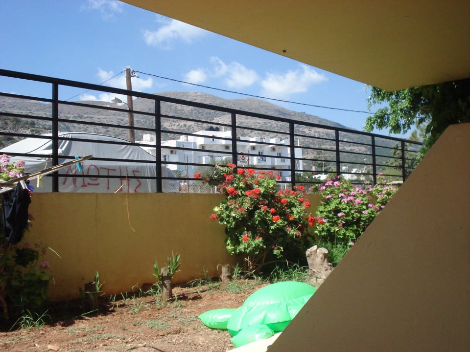 "Ausblick" aus Keller Hotel Latania Apartments