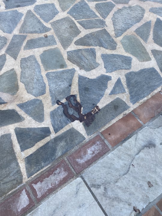 Gartenanlage Bella Beach Hotel