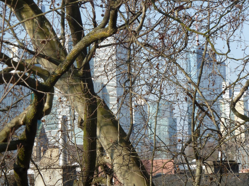 Auf die Bankgebäude  Villa Orange