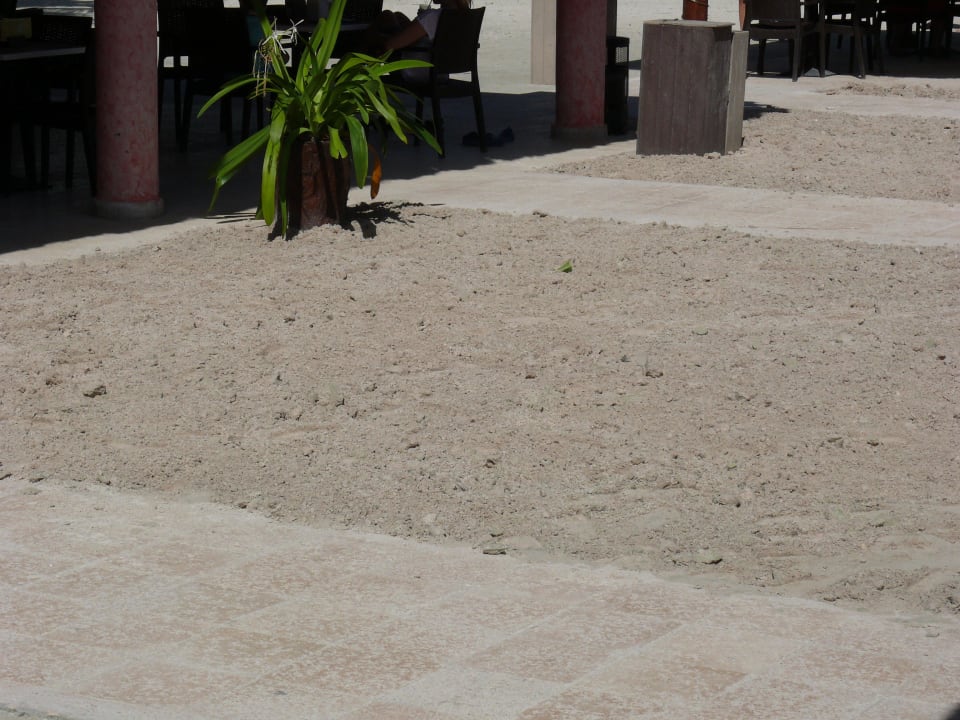 Strandbar Grand Palladium Select White Sand Resort & Spa