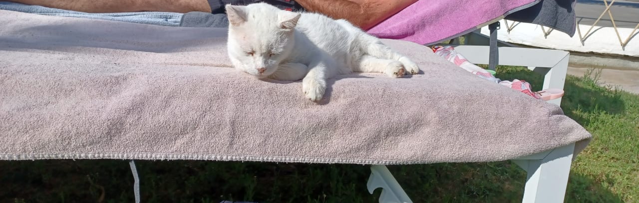 Sonstiges Kouros Exclusive