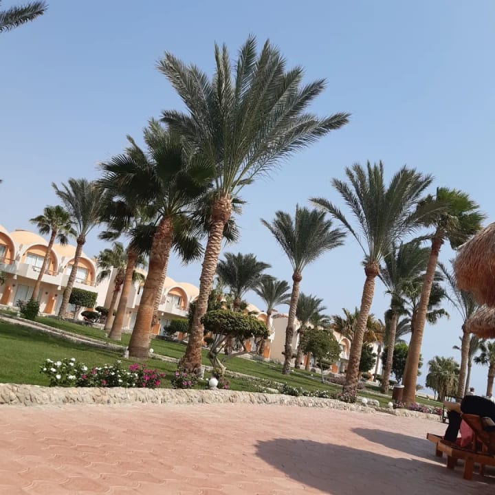 Sonstiges Three Corners Sea Beach Resort