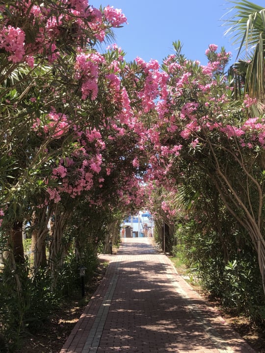 Strand Seaden Sea World Resort & Spa