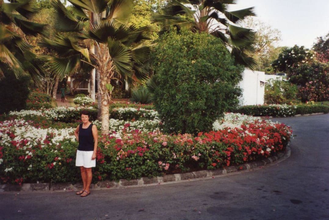Einfahrt vorm Hotel Hotel Diani Sea Lodge