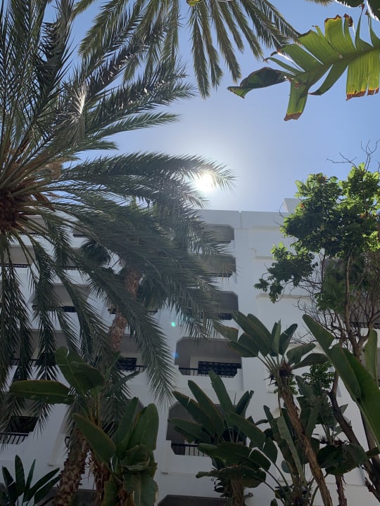 Außenansicht Corallium Beach by Lopesan Hotels - Adults only