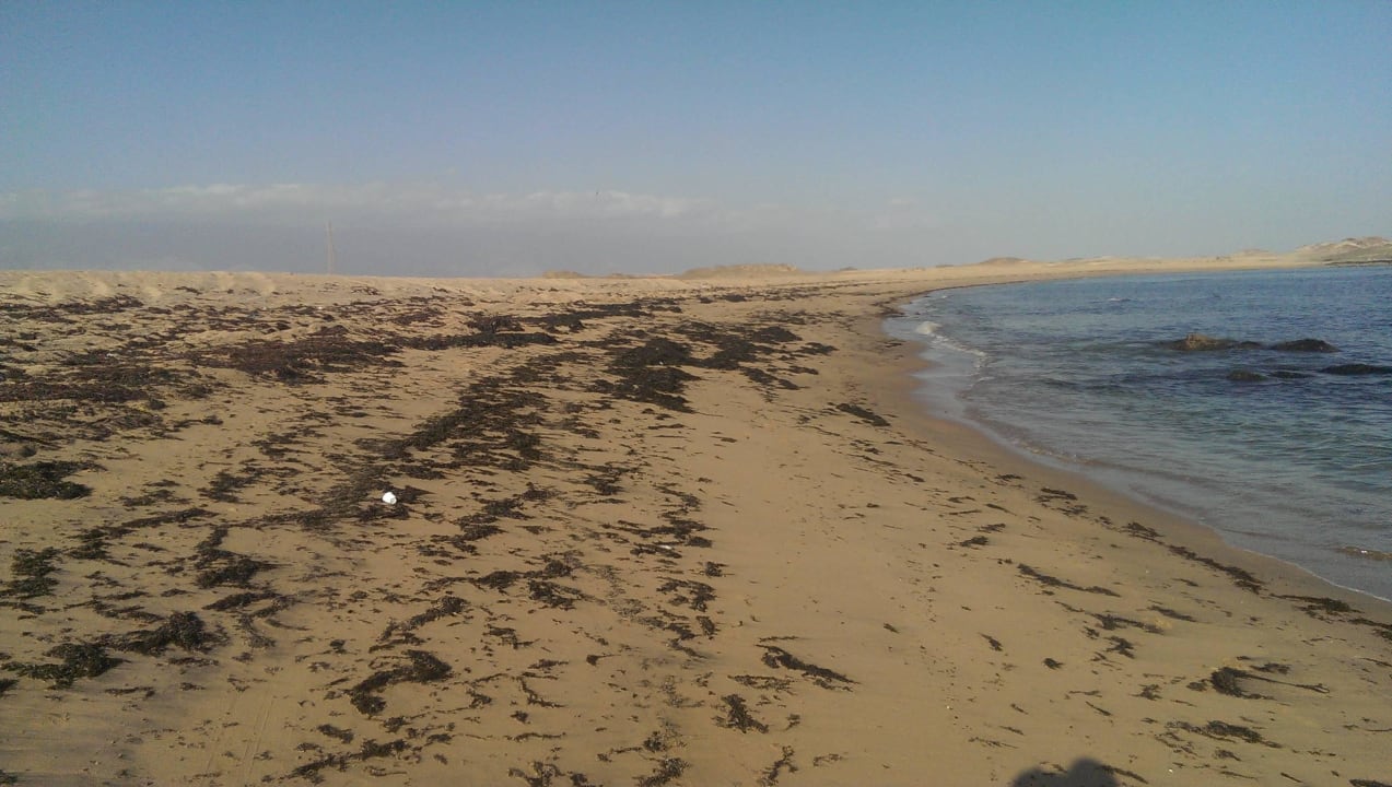 Strand voller Algen Wyndham Garden Salalah Mirbat