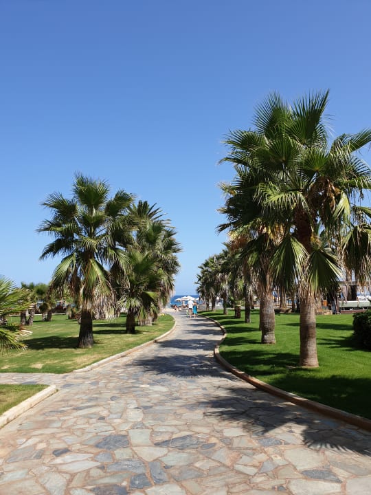 Gartenanlage Calimera Sirens Beach