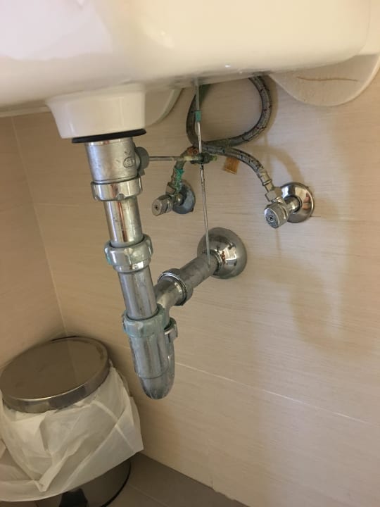 Überall Schimmel blau punta reina