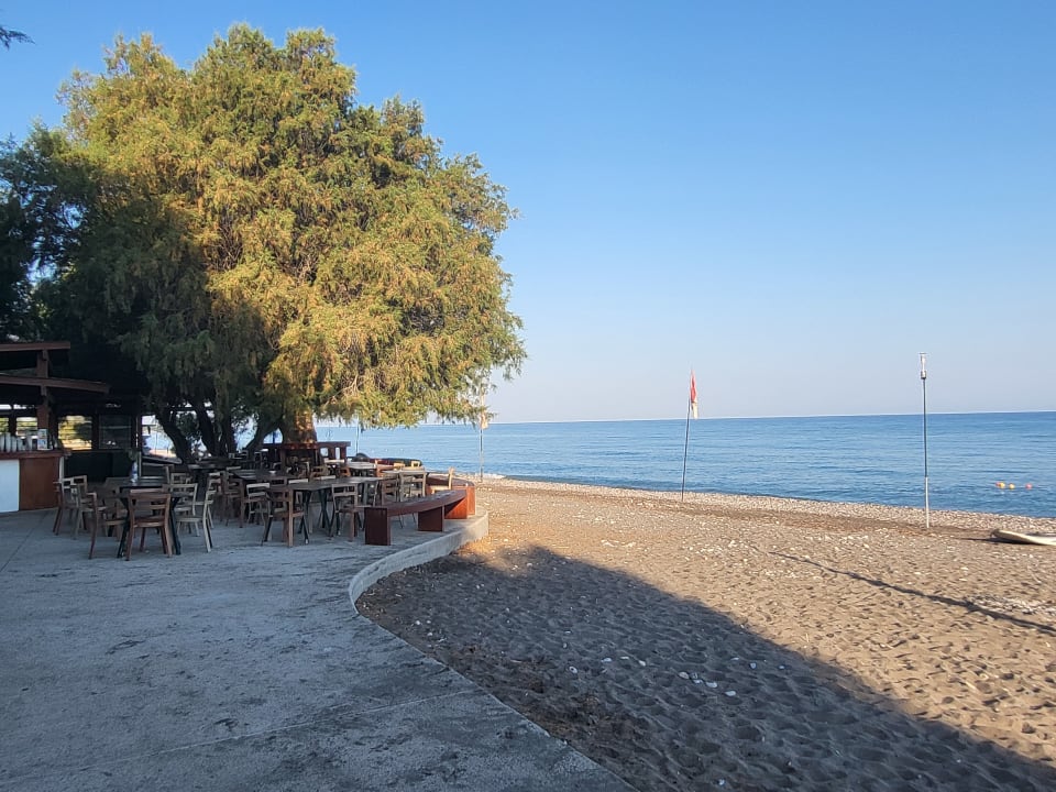 Gastro TUI KIDS CLUB Alex Beach