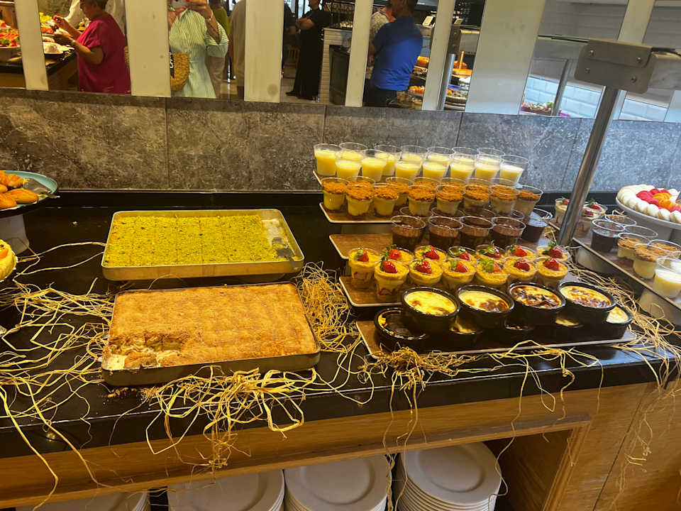 Gastro Seashell Vega