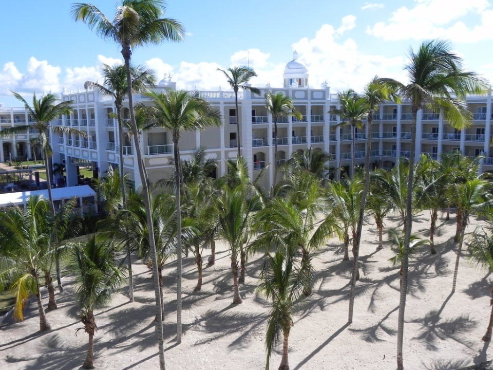 Hotel Hotel Riu Palace Bavaro