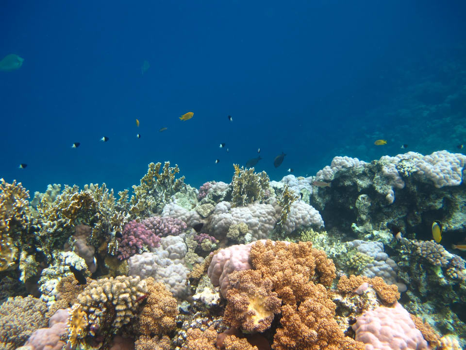 Sport & Freizeit Three Corners Equinox Beach Resort