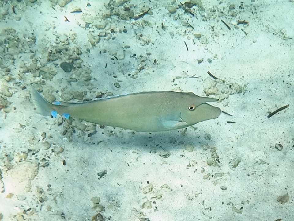 Sport & Freizeit Mövenpick Resort El Quseir