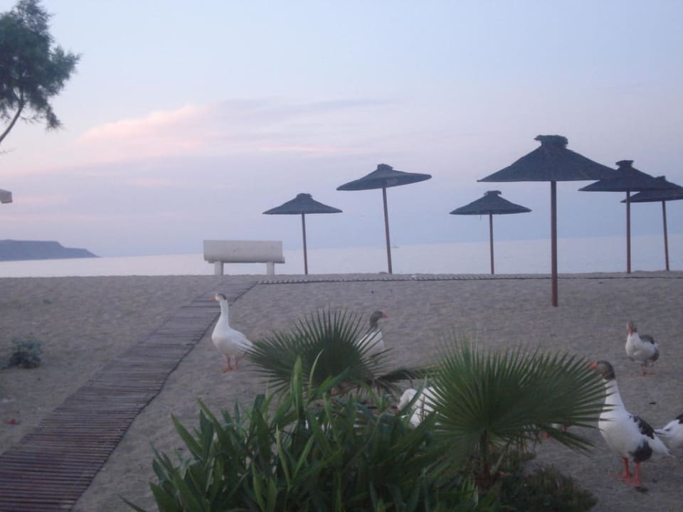 Beach of Thamiris Suites in the evening Hotel Thamiris Suites