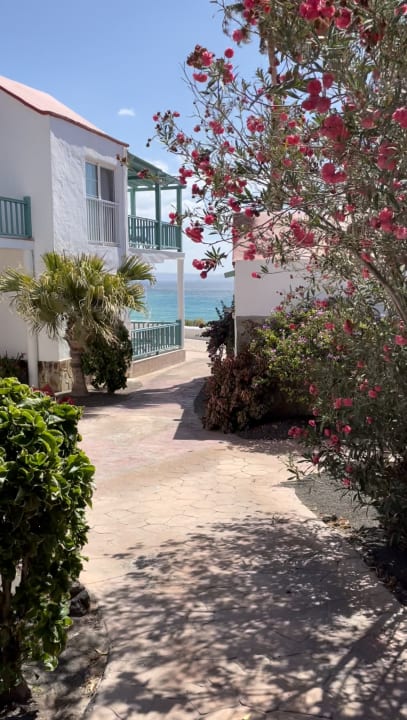 Gartenanlage Aldiana Club Fuerteventura