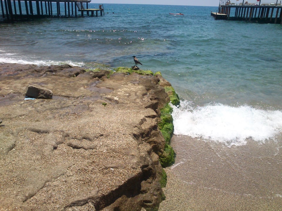 Bucht von der man ins Meer kann Dizalya Palm Garden