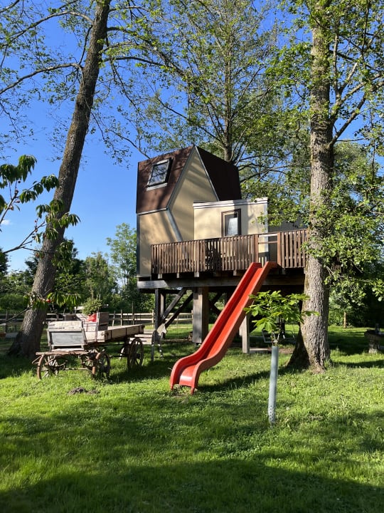 Sport & Freizeit Baumhotel Auszeit