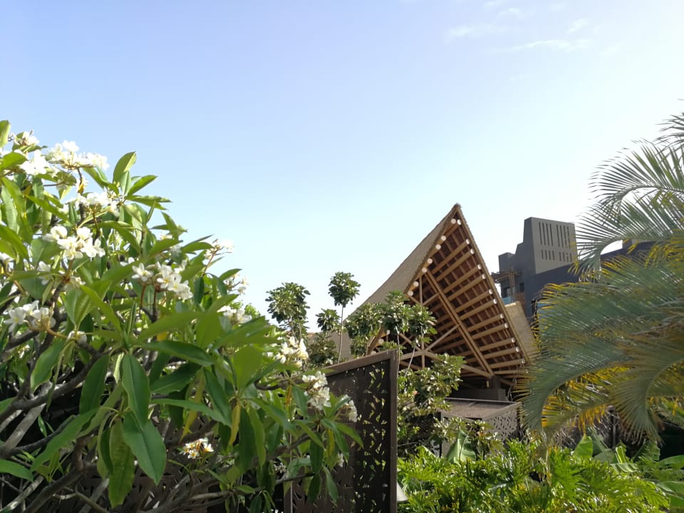 Gartenanlage Lopesan Baobab Resort