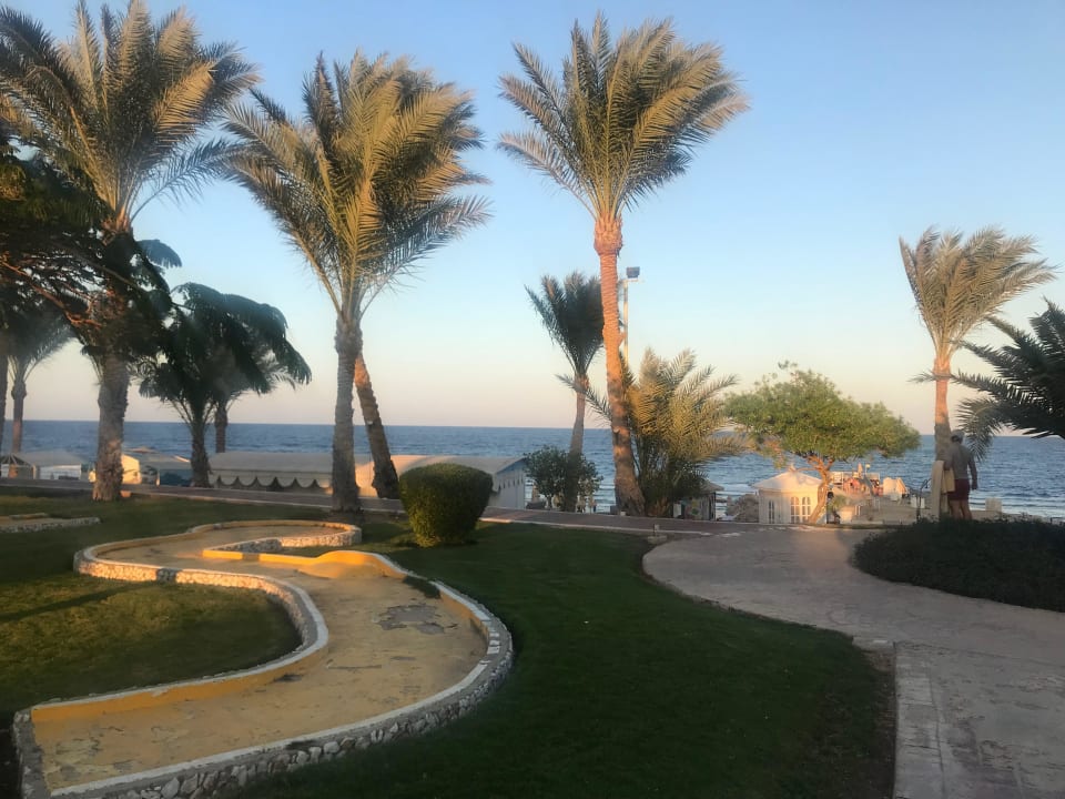 Sport & Freizeit Serenity Alpha Beach