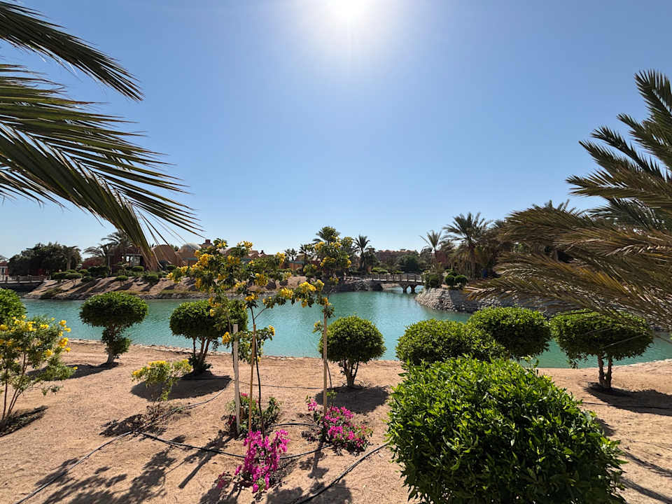 Gartenanlage Sheraton Miramar Resort El Gouna