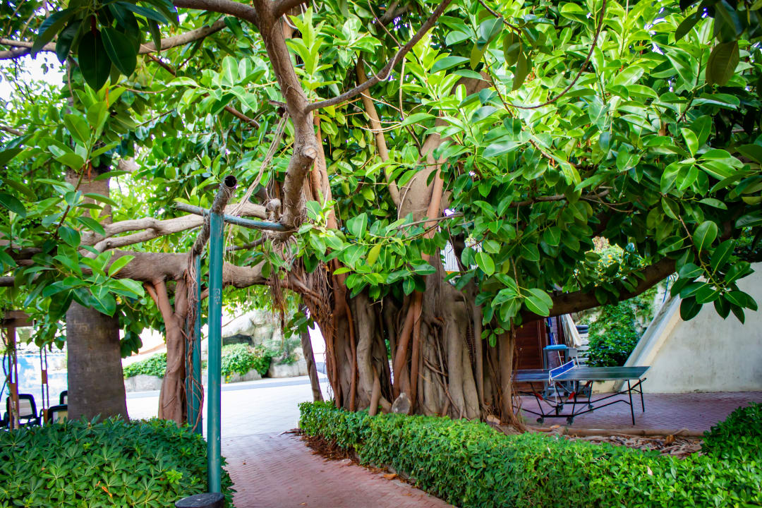 Gartenanlage Side Star Elegance