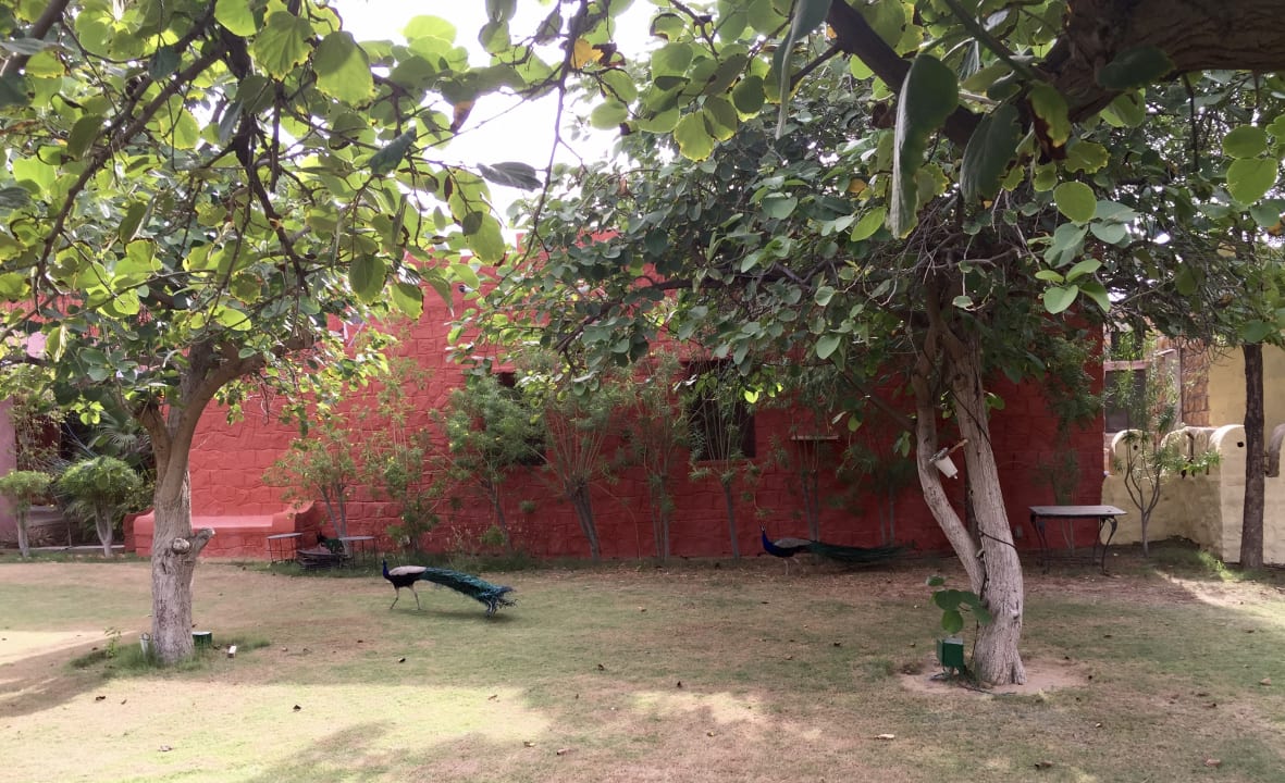 Gartenanlage Hotel Mirvana Nature Resort