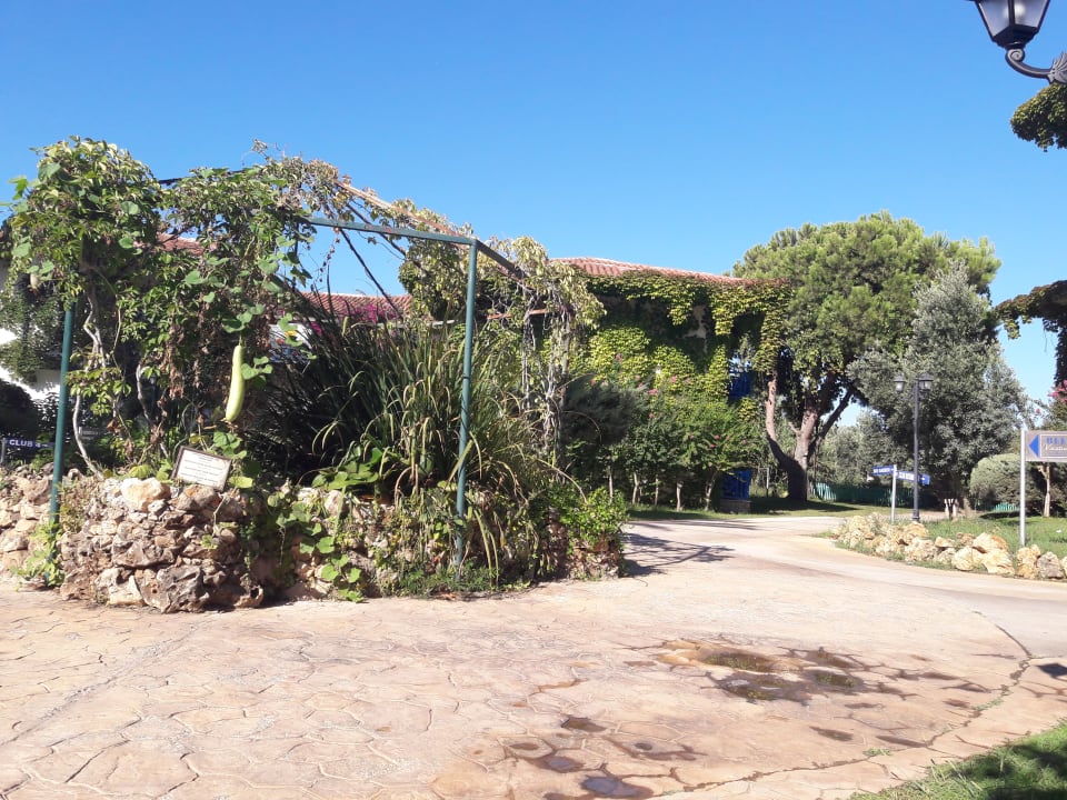 Gartenanlage Belconti Resort Hotel