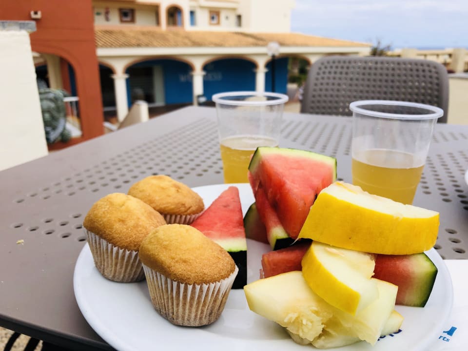 Gastro blau punta reina