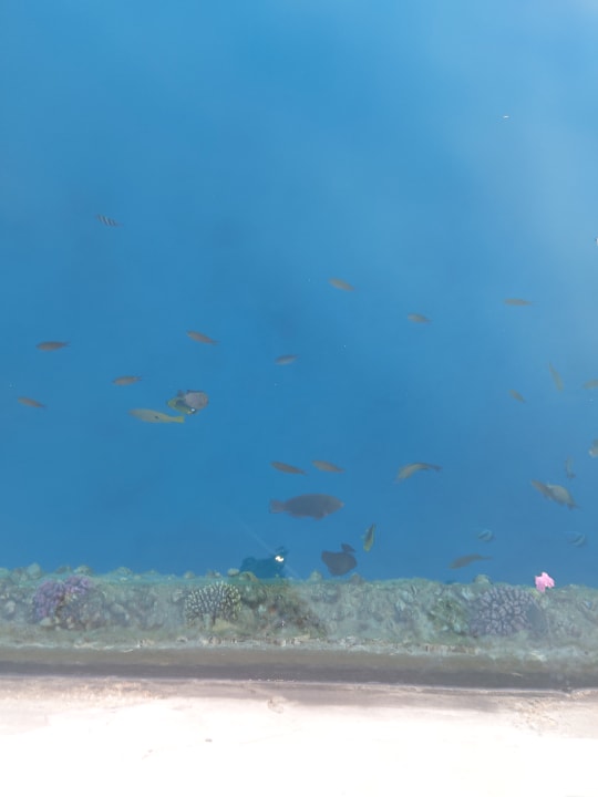 Strand Casa Mare Resort