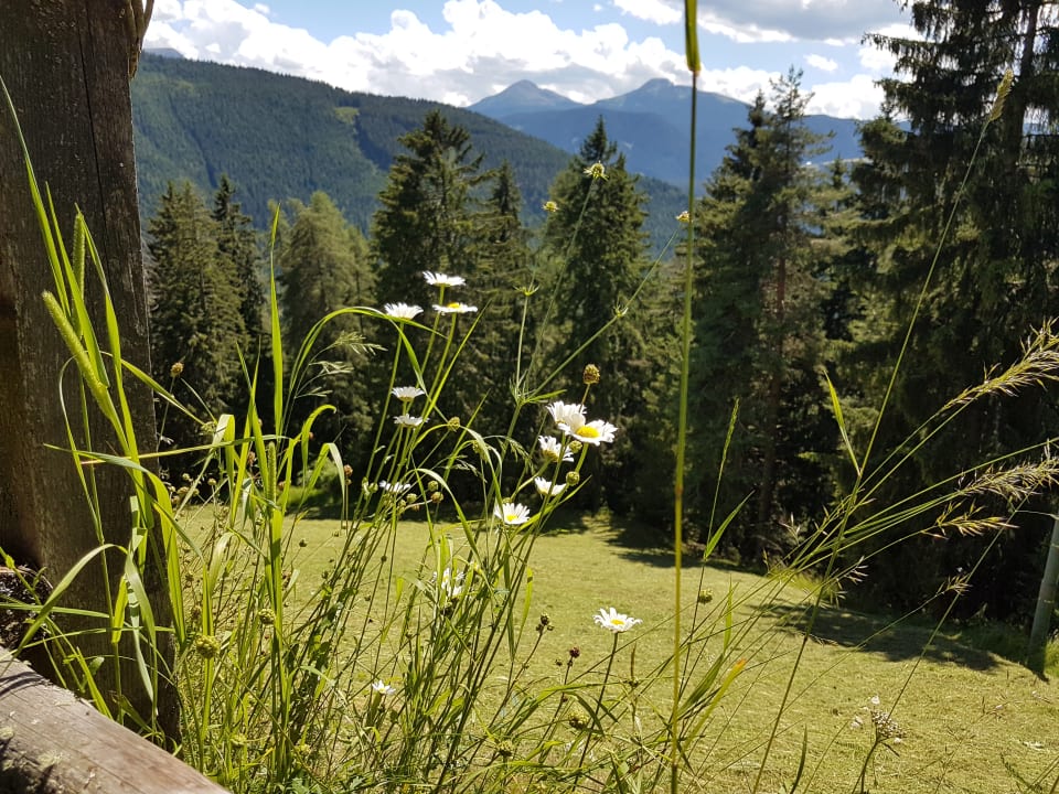 Gartenanlage Innerfohrerhof