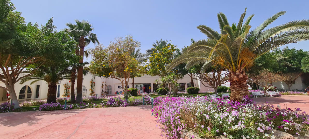 Sport & Freizeit Desert Rose