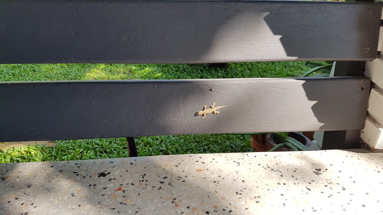 Sonstiges 18 In Town Homestay