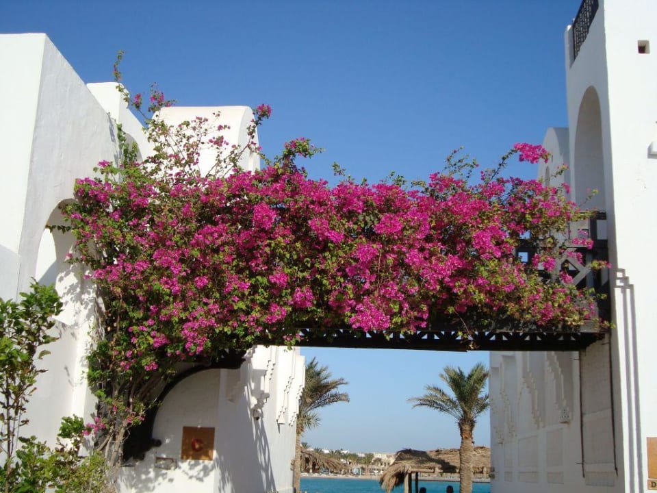 Hotel Arabella Azur Resort