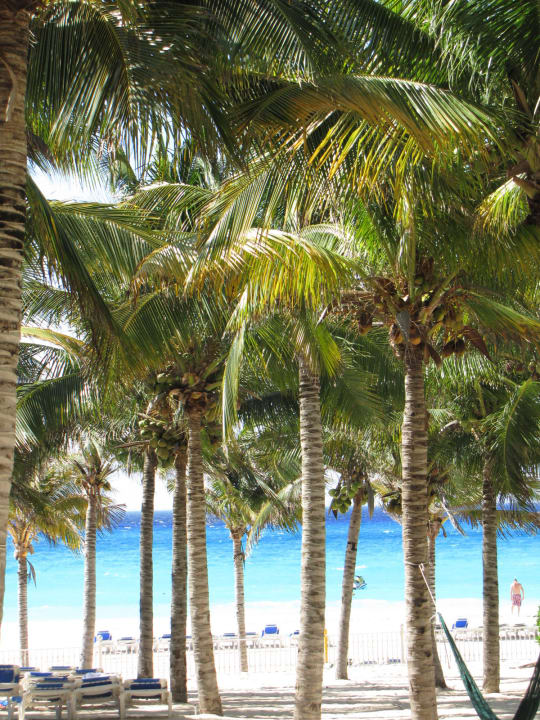 Immer Schatten und Platz Hotel Riu Palace Riviera Maya