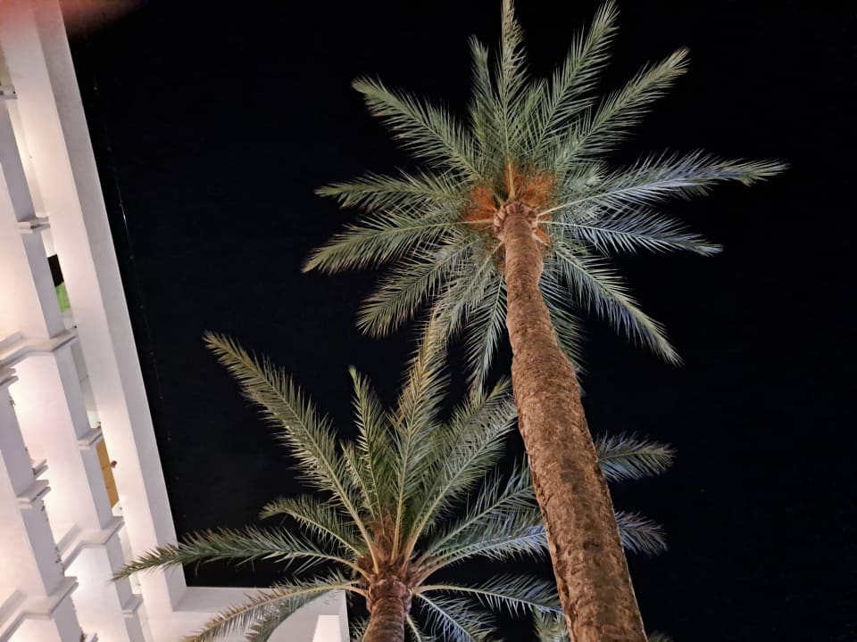 Außenansicht allsun Hotel Bella Paguera