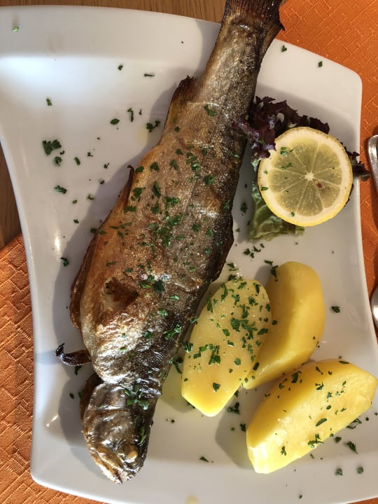 Gastro 1. Bier & Wohlfühlhotel Gut Riedelsbach