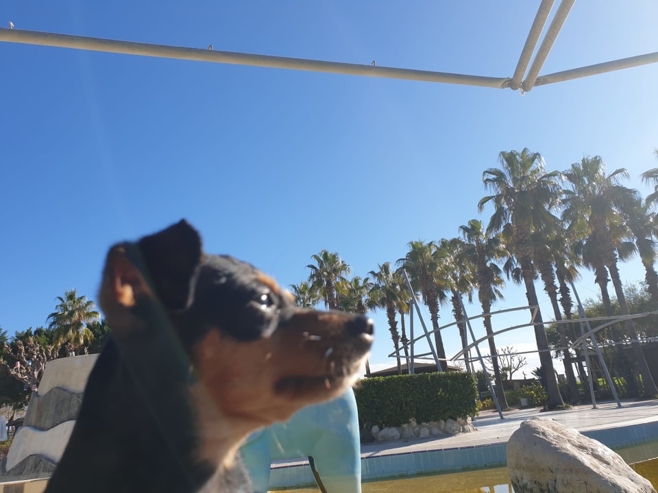 Gartenanlage Limak Limra Hotel & Resort