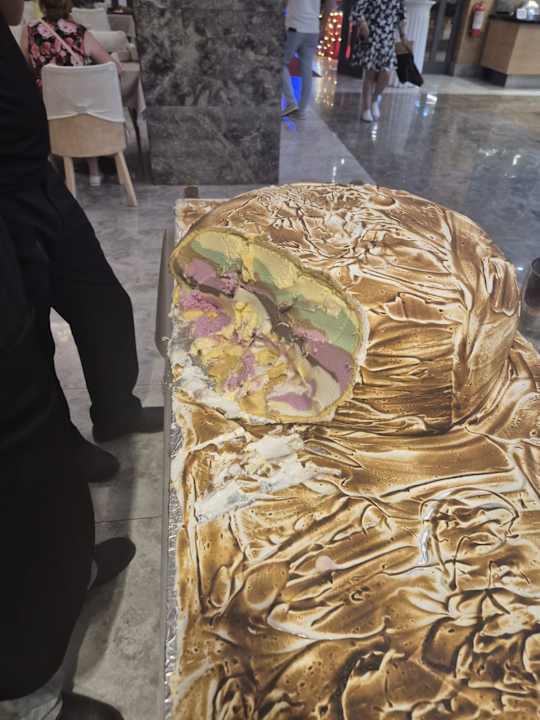 Gastro Seashell Vega