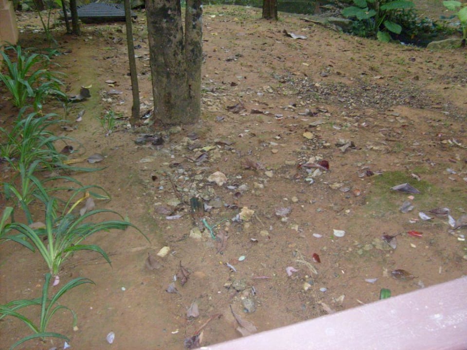 "Grünanlage" im Merlin Khao Lak Merlin Resort