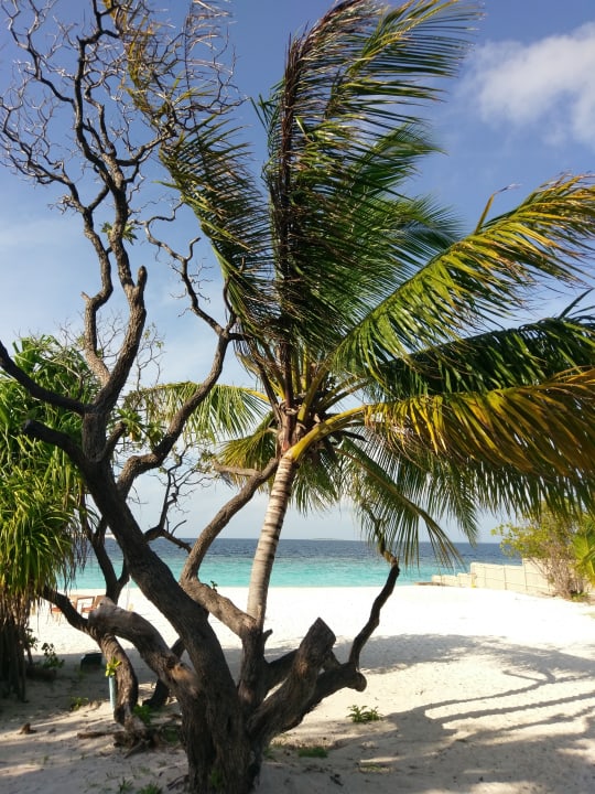 Strand Adaaran Select Meedhupparu Island Resort - Premium All Inclusive