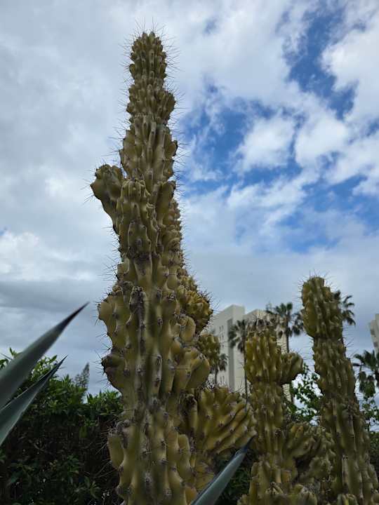 Sport & Freizeit allsun Hotel Bahia del Este