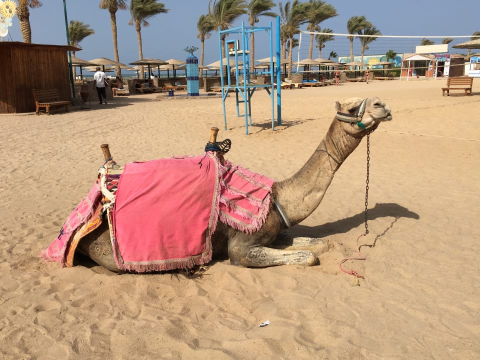 Strand Golden Beach Resort