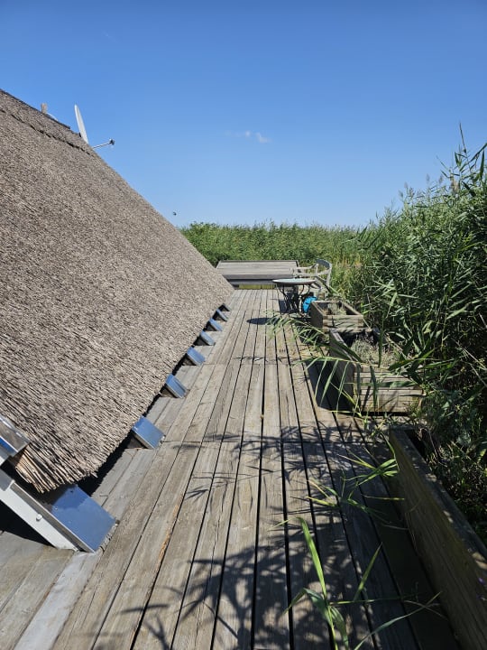 Außenansicht Seehütte Neusiedlersee - Urlaub am Wasser - Seehütte Sonnendeck