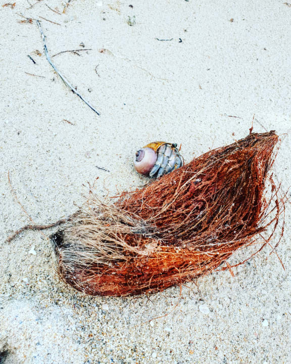 Strand Kantary Beach Hotel - KHAO LAK